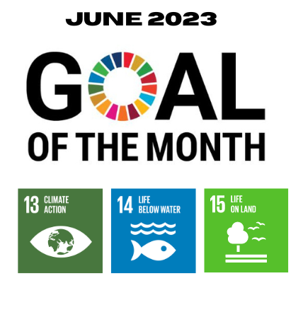 June Goal of the Month: Special Edition: Environment Outlook – SDG 13, 14 & 15